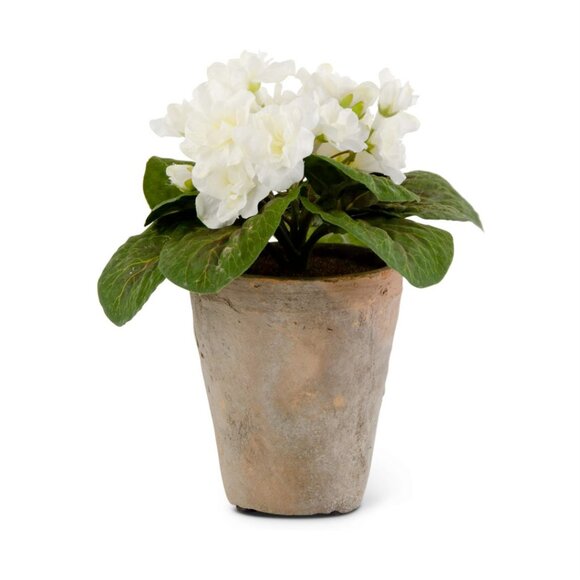 Artificial White Violet in a Distressed Clay Pot - Picture 1 of 2